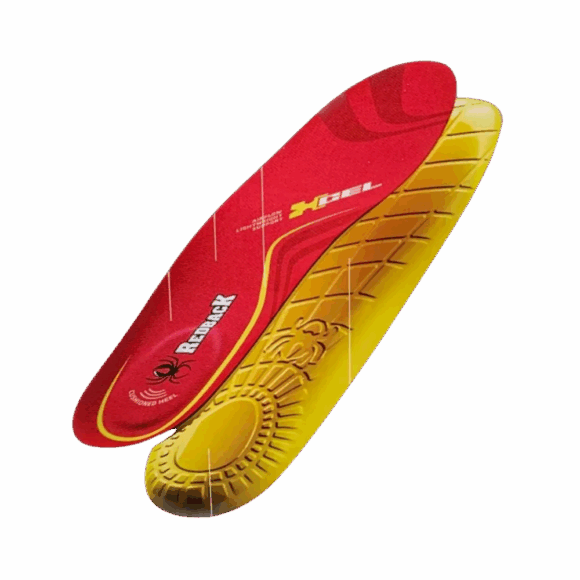 Anatomiska sulor