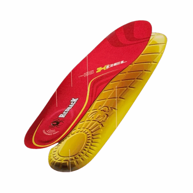 Anatomiska sulor